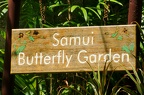 Kho Samui 029